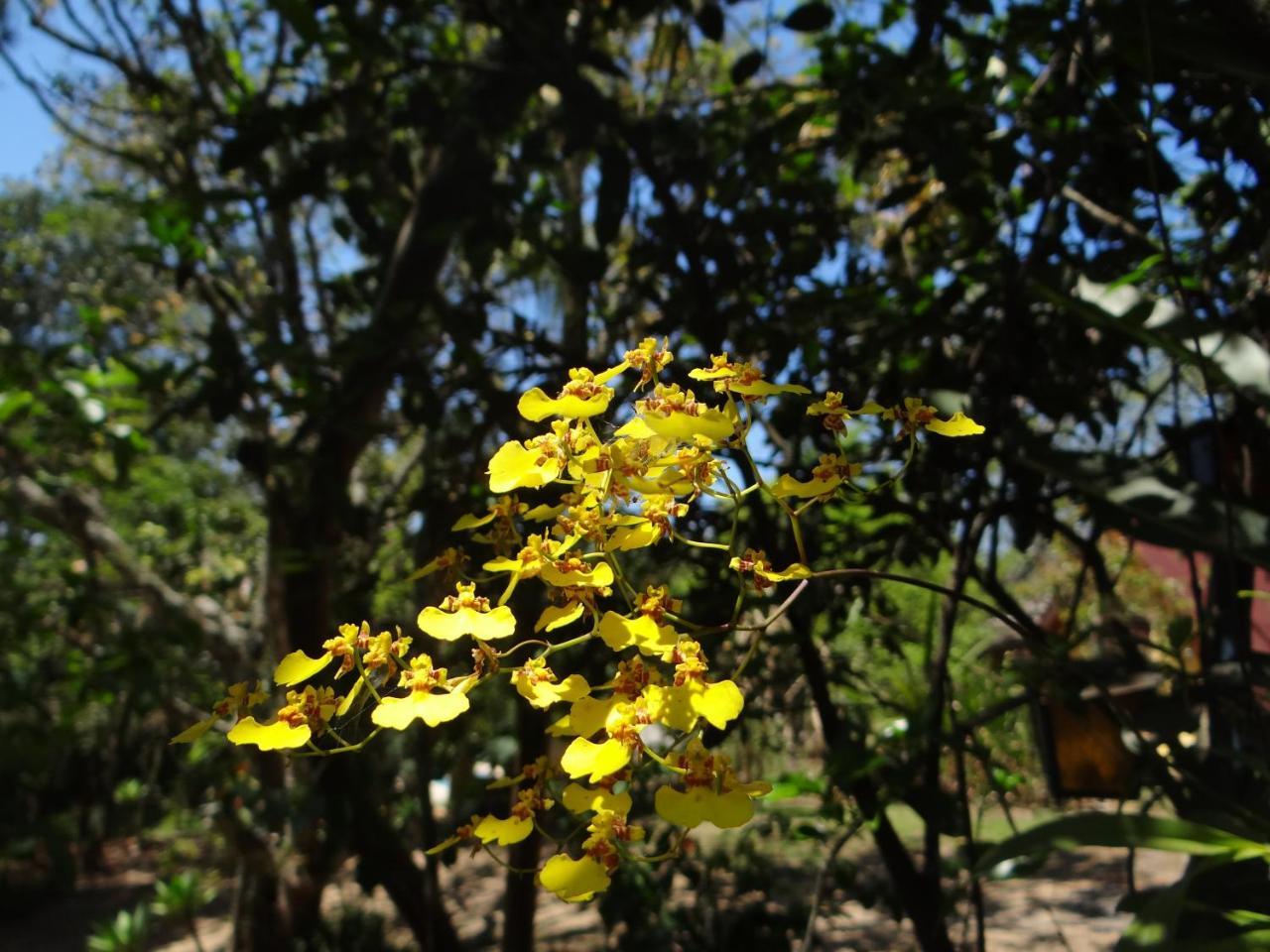 Chalé Rancho Aratama Jacareí Exterior foto
